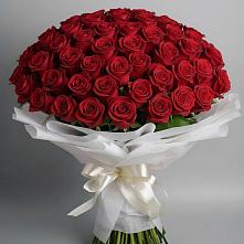 Букет 101 Красная роза Блэк Мэджик в Пугачёве