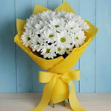 Букет цветов из:  Хризантемы в Пугачёве