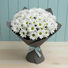 Букет цветов из:  Хризантемы в Пугачёве