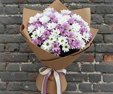 Букет цветов из:  Хризантемы в Пугачёве