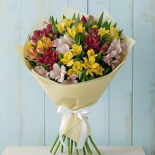Букет цветов из:  Альстромерии в Пугачёве