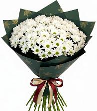 Букет цветов из:  Хризантемы в Пугачёве