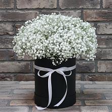 Цветочная композиция из Гипсофила в шляпной коробке #REPLACE_PRED# Пугачёве