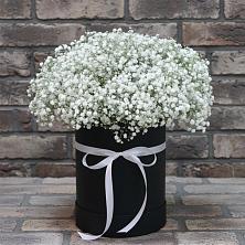 Цветочная композиция из Гипсофила в шляпной коробке в Пугачёве